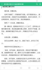 不提供护照可以申请埃及签证吗